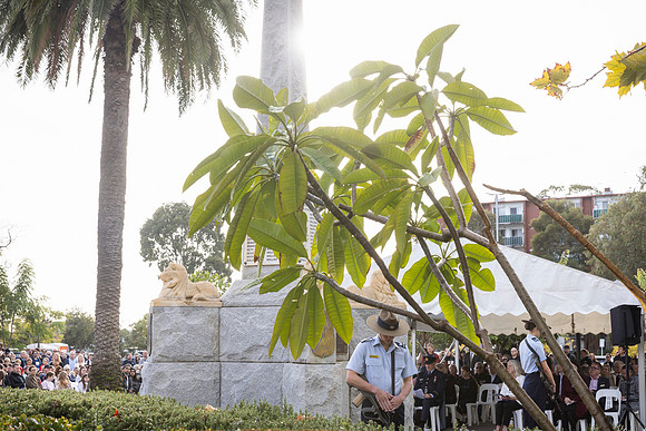 toc 230425 anzac service 128-(PRINT ONLY)