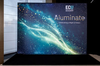 ecu 261001 aluminate 50-(WEB ONLY)