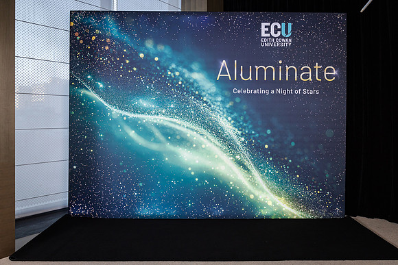 ecu 261001 aluminate 50-(WEB ONLY)