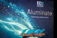 ecu 261001 aluminate 14-(WEB ONLY)