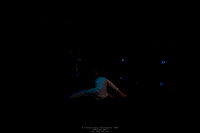link 260915 epic 6-(PROOF ONLY)
