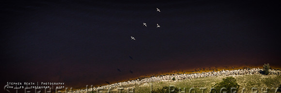 Perth Panos-11