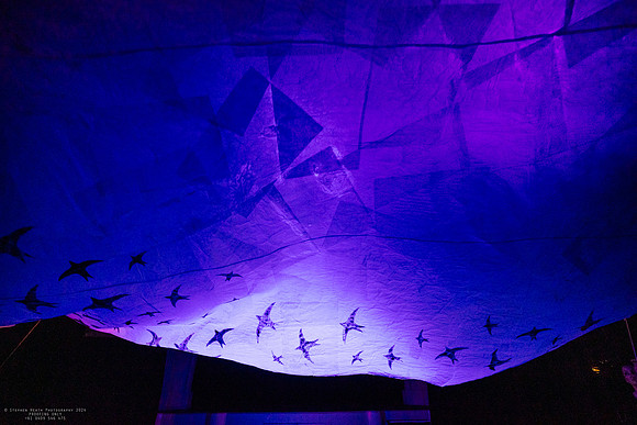 waapa 2411008 tmotlb 11-(PROOF ONLY)