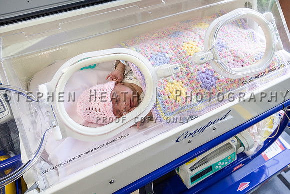 pchf-220203-nets-22-(PRINT ONLY)