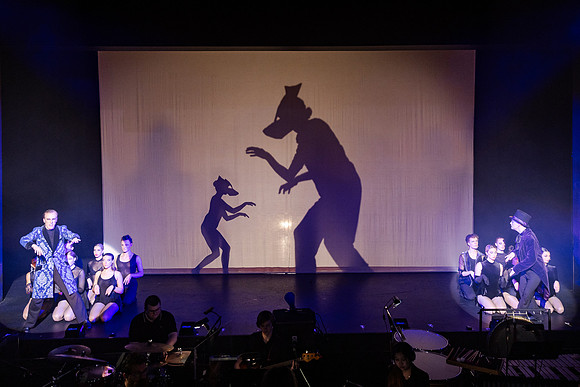 waapa 230906 cats 403-(WEB ONLY)