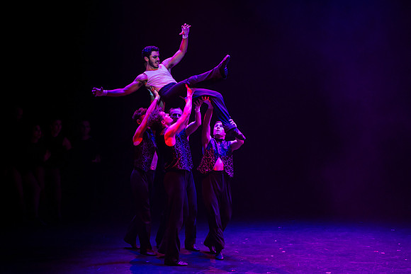 waapa 230906 cats 532-(PRINT ONLY)