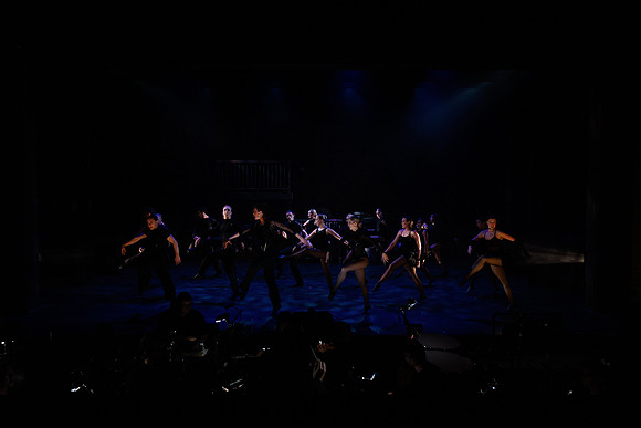 waapa 230906 cats 58-(PROOF ONLY)