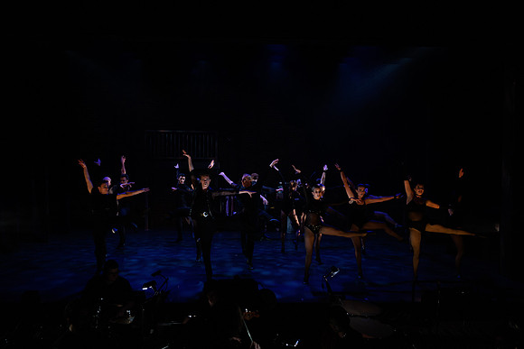 waapa 230906 cats 60-(PROOF ONLY)