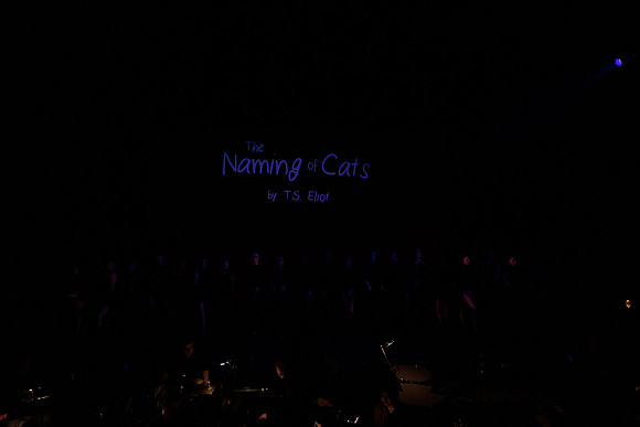 waapa 230906 cats 72-(PROOF ONLY)