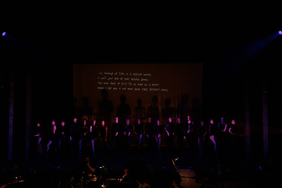 waapa 230906 cats 73-(PROOF ONLY)