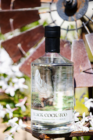 bcg 2309 bottles 1-(PRINT ONLY)