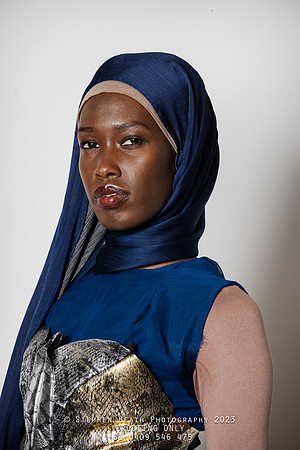 amina-1-(PROOF ONLY)