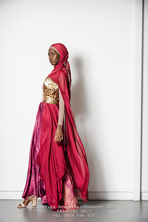 amina-66-(PROOF ONLY)