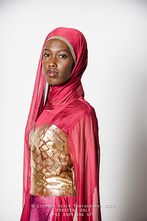 amina-93-(PROOF ONLY)