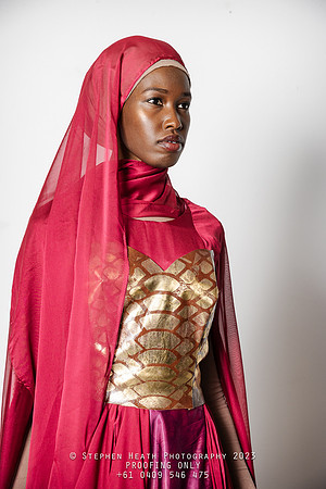 amina-96-(PROOF ONLY)