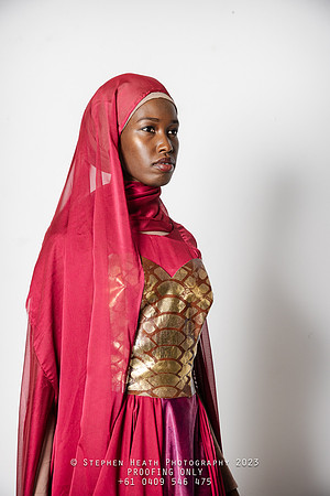 amina-97-(PROOF ONLY)