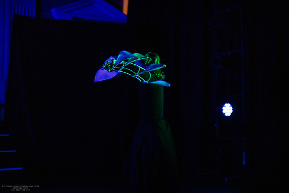 waapa 2411008 tmotlb 28-(PROOF ONLY)