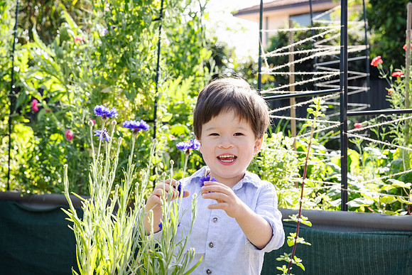pchf 231001 christmas appeal 35-(PRINT ONLY)