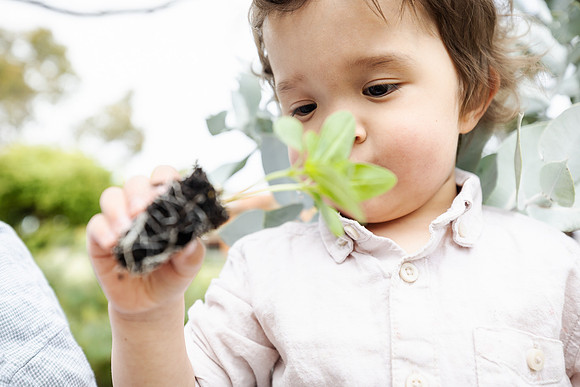 pchf 231001 christmas appeal 738-(WEB ONLY)