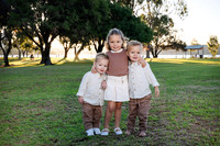 fam 250419 dawyer 36-(WEB ONLY)