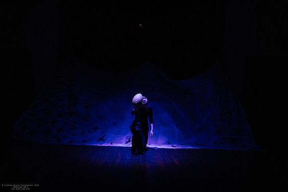 waapa 2411008 tmotlb 26-(PROOF ONLY)