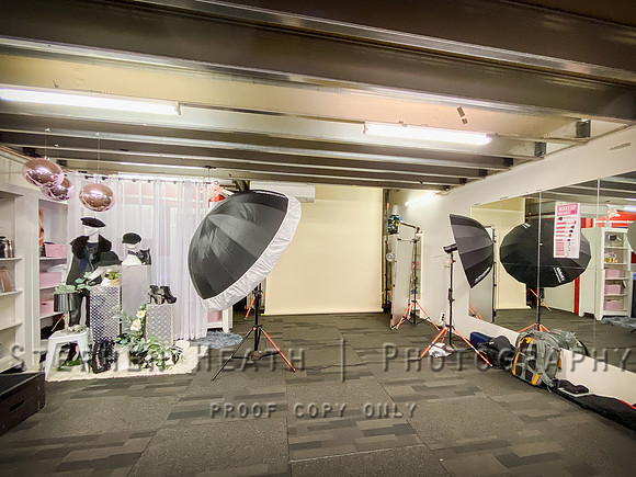 shp studio 25