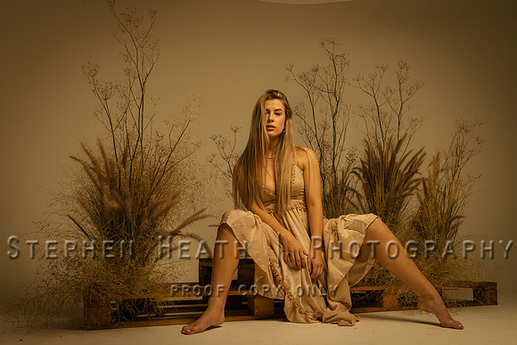 shp studio 71