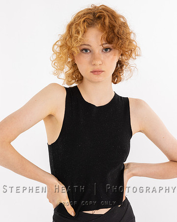 shp studio 113
