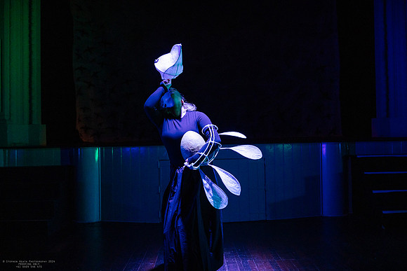 waapa 2411008 tmotlb 48-(PROOF ONLY)