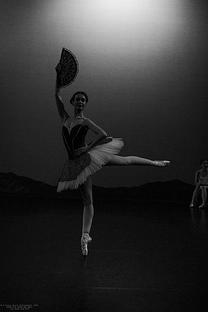 waapa 231108 don quixote 6-(PROOF ONLY)