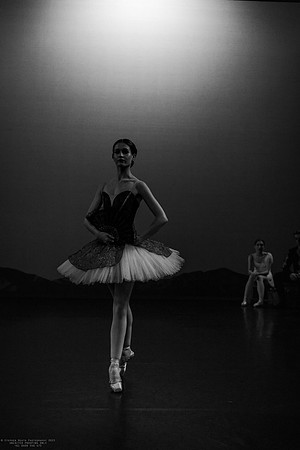 waapa 231108 don quixote 7-(PROOF ONLY)