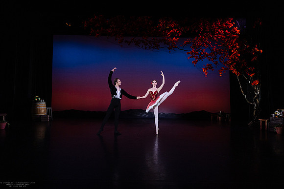 waapa 231108 don quixote 22-(PROOF ONLY)