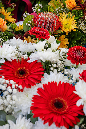toc 231111 rememberance 13-(PRINT ONLY)