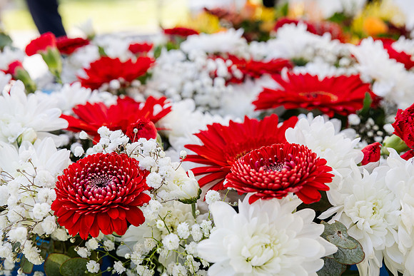 toc 231111 rememberance 9-(WEB ONLY)