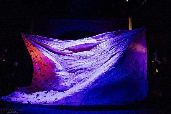 waapa 2411008 tmotlb 15-(PROOF ONLY)