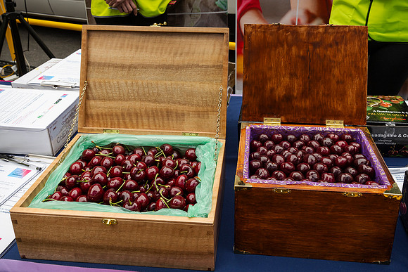 pchf 231208 cherry auction 177-(PRINT ONLY)