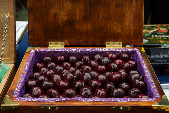 pchf 231208 cherry auction 178-(PRINT ONLY)