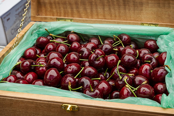 pchf 231208 cherry auction 179-(PRINT ONLY)