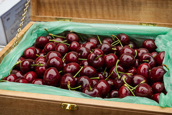 pchf 231208 cherry auction 179-(WEB ONLY)