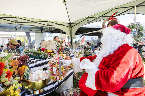 sat 231209 clementine xmas market 46-(WEB ONLY)