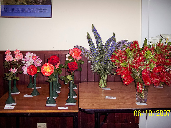 Flower Show 2007 (5)
