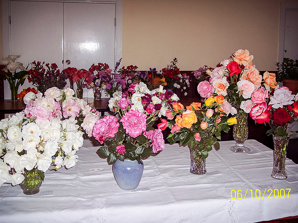 Flower Show 2007 (7)