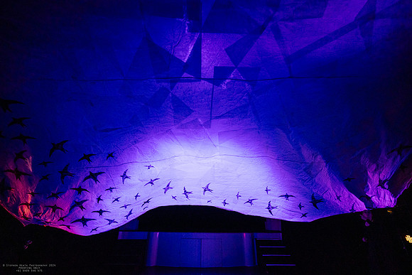 waapa 2411008 tmotlb 9-(PROOF ONLY)