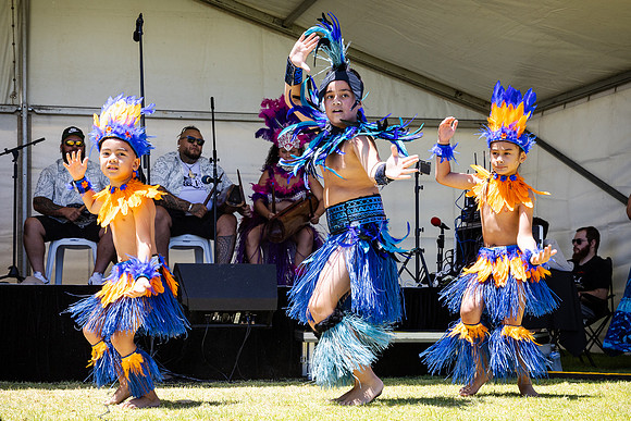 sat 240204 Waitangi day 53-(WEB ONLY)