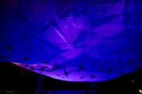 waapa 2411008 tmotlb 12-(PROOF ONLY)