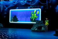 tpa 250716 nemo 5-(PROOF ONLY)