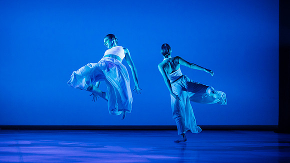 link 250519 echogreen 285-(WEB ONLY)