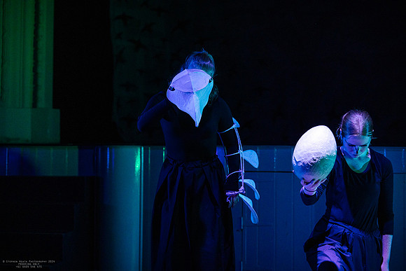 waapa 2411008 tmotlb 35-(PROOF ONLY)