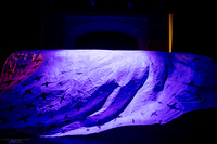waapa 2411008 tmotlb 13-(PROOF ONLY)