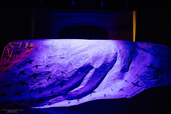 waapa 2411008 tmotlb 13-(PROOF ONLY)
